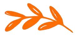 leaf image in 202604012337 removebg preview